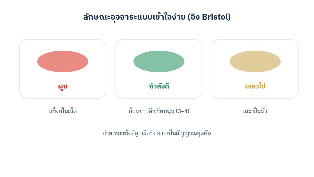 แผนภาพลักษณะอุจจาระแบบเข้าใจง่ายอิงเกณฑ์ Bristol