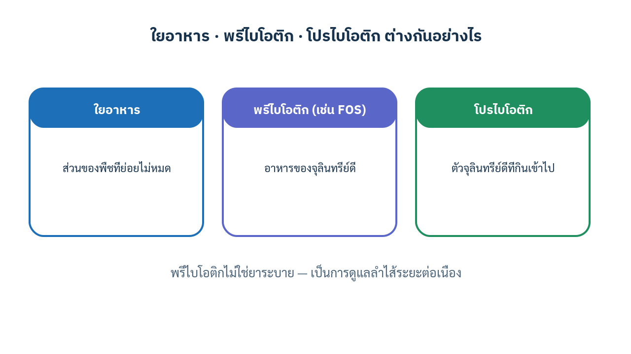อินโฟกราฟิกอธิบายความต่างระหว่างใยอาหาร พรีไบโอติก และโปรไบโอติก